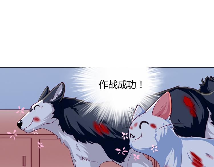 第14话 作战成功！10