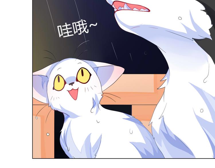 第4话 让暴风雨来得更猛烈些吧63