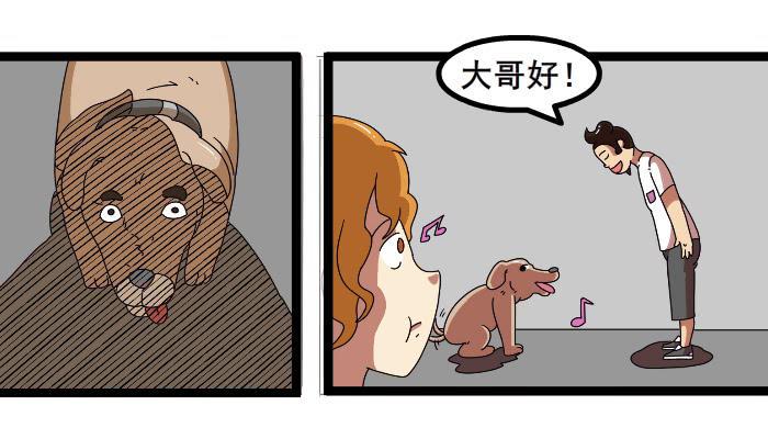 嫂子4