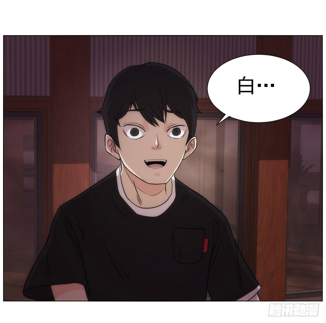 排布86
