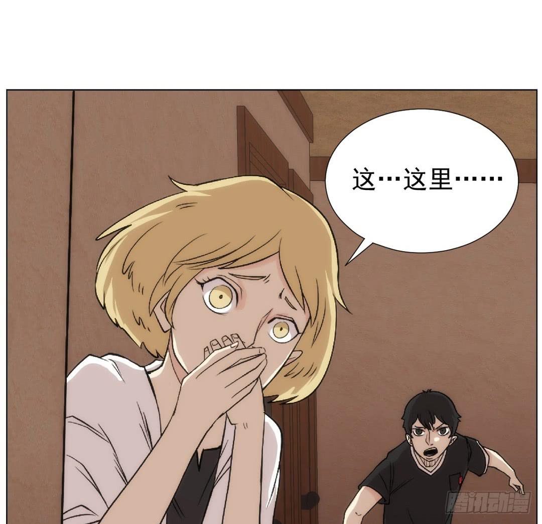 排布43