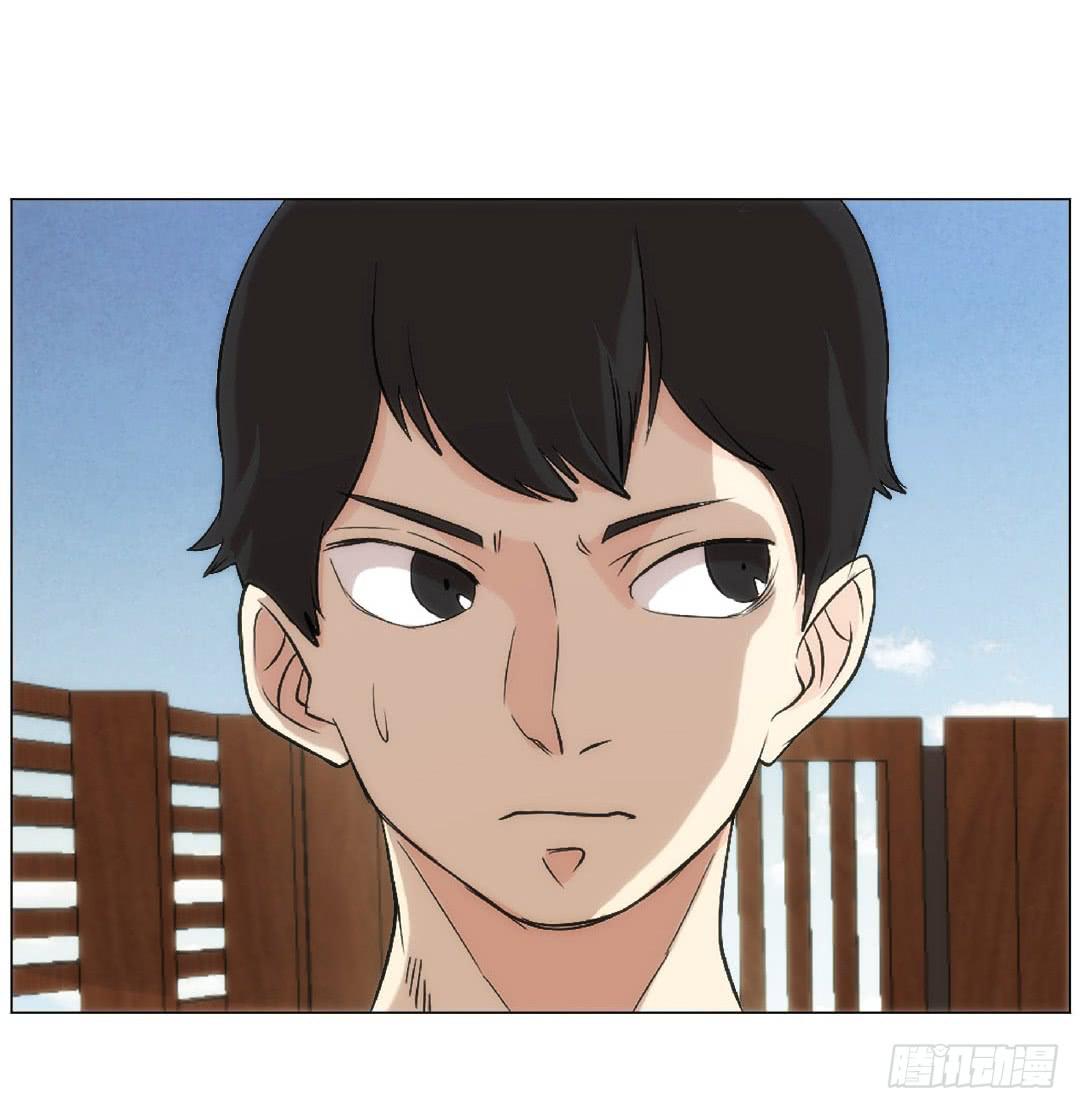 排布26