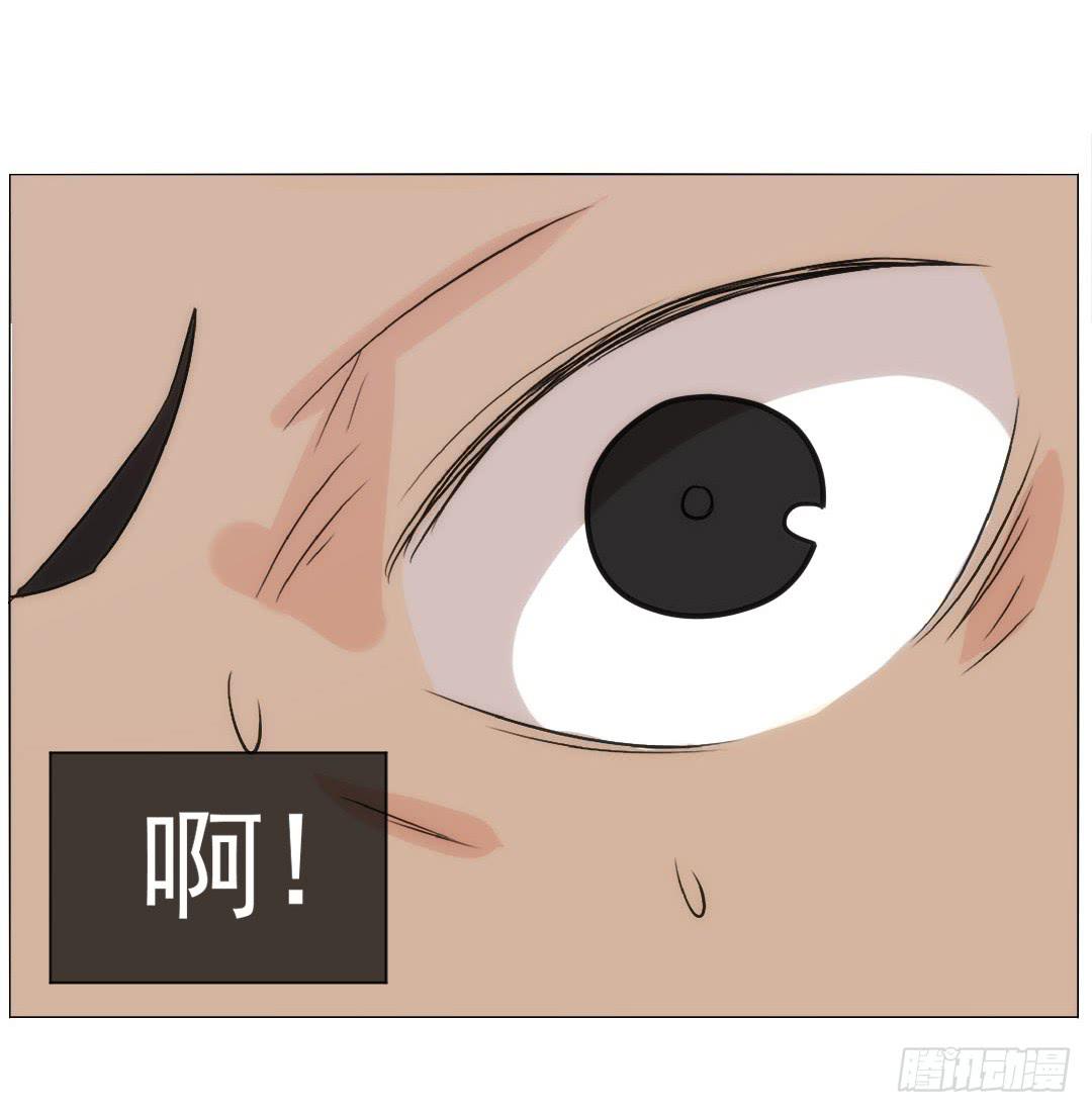 排布83
