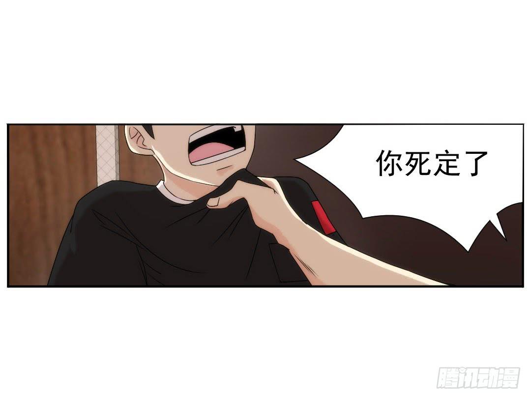 引线17