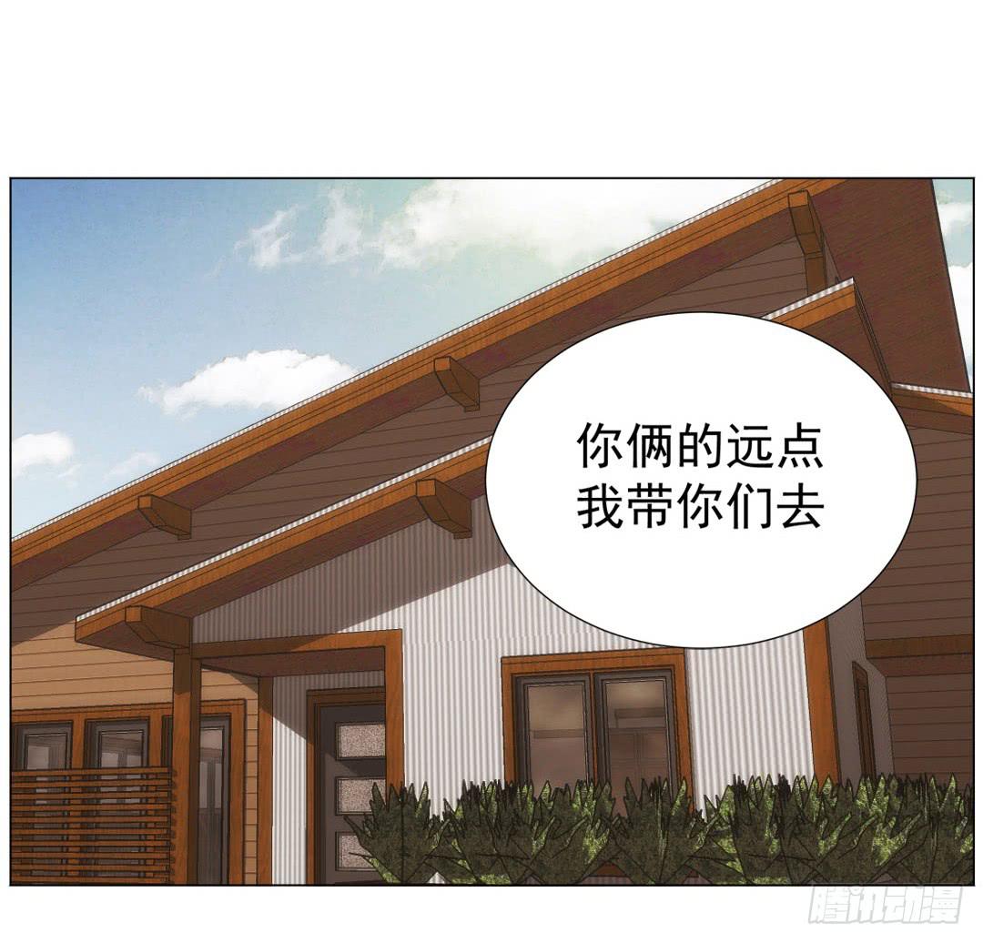 排布24
