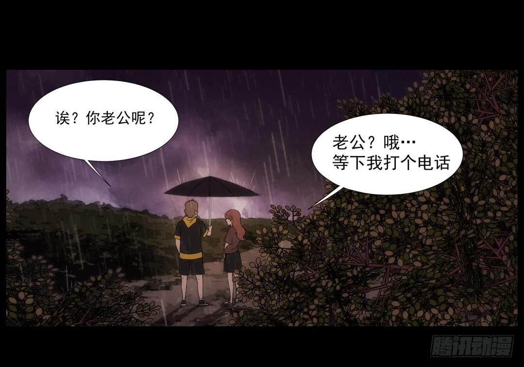 排布65
