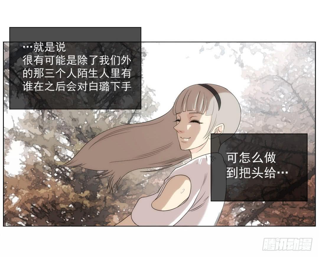 排布31