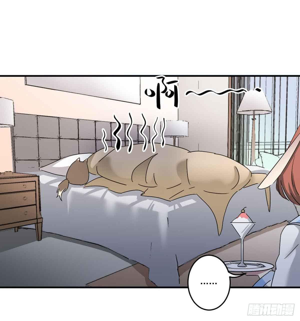 机会4