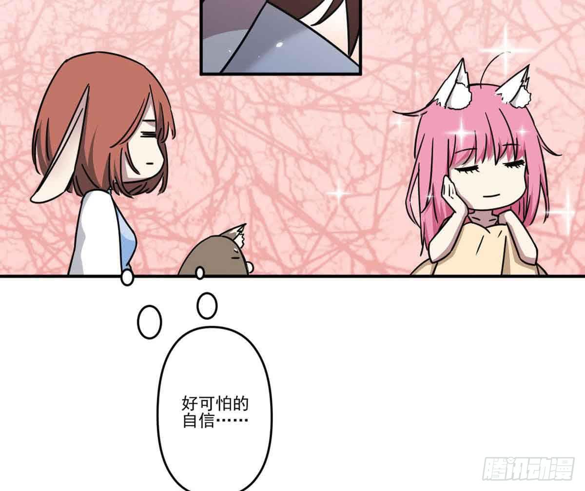 机会14