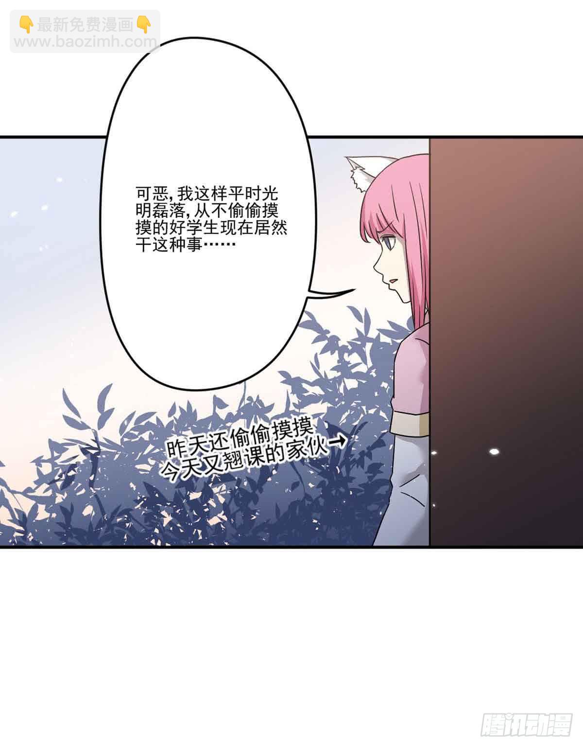 机会19