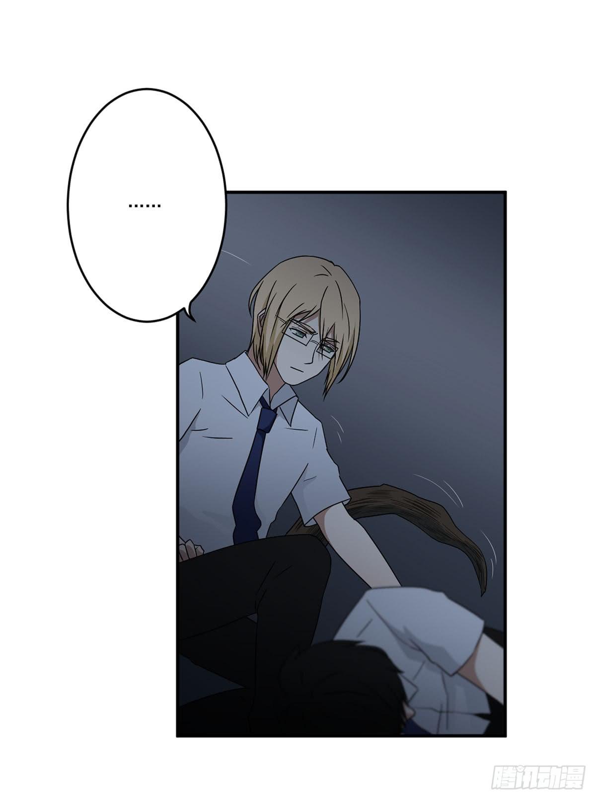笨蛋6