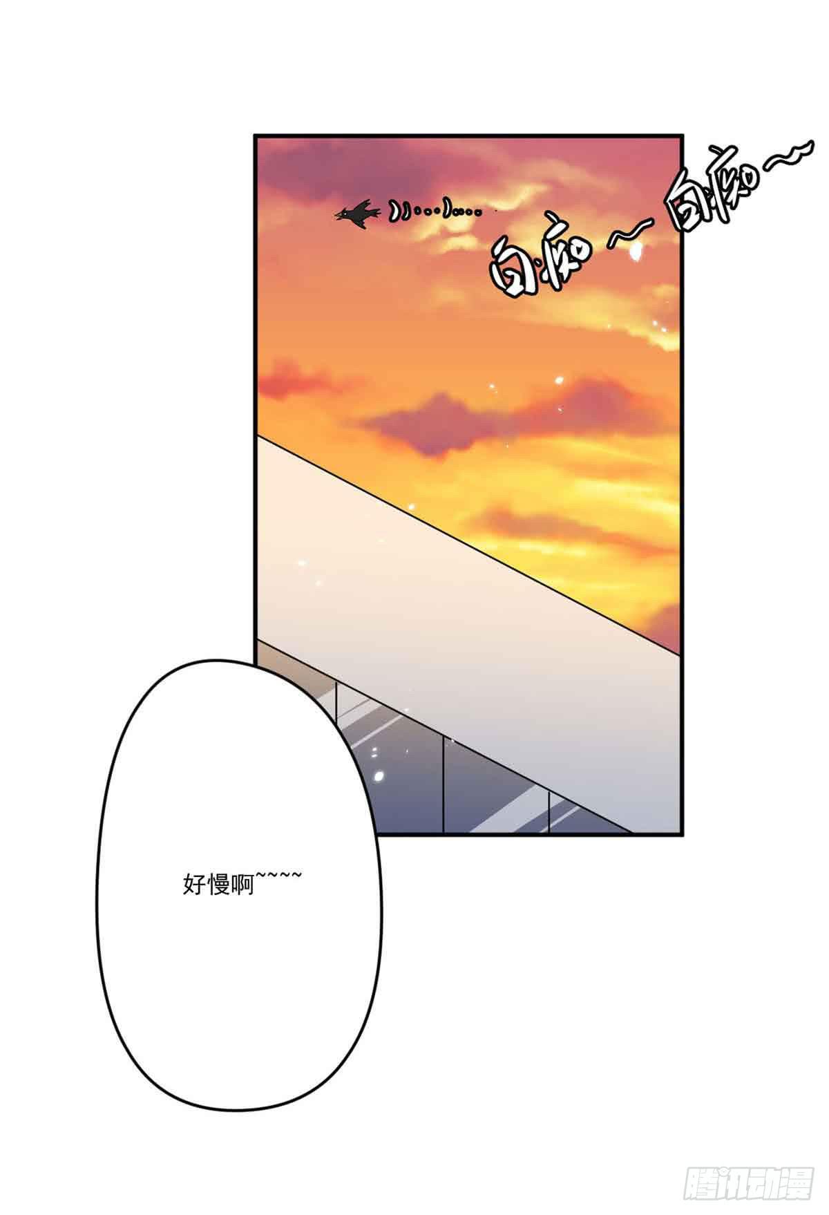 机会20