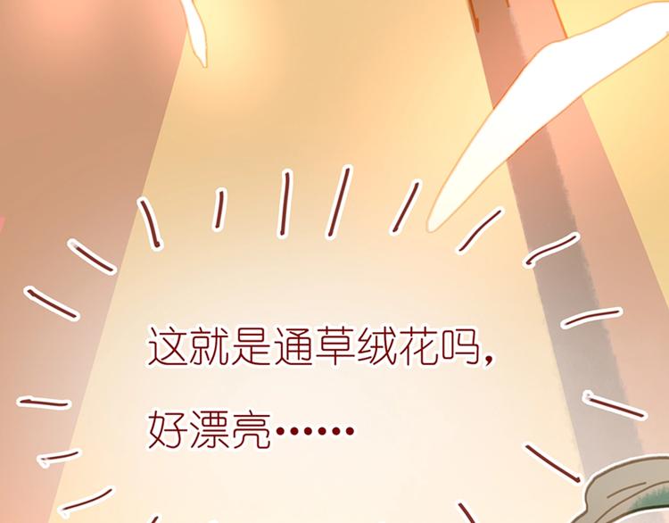 第3话 大阿福要大长腿88