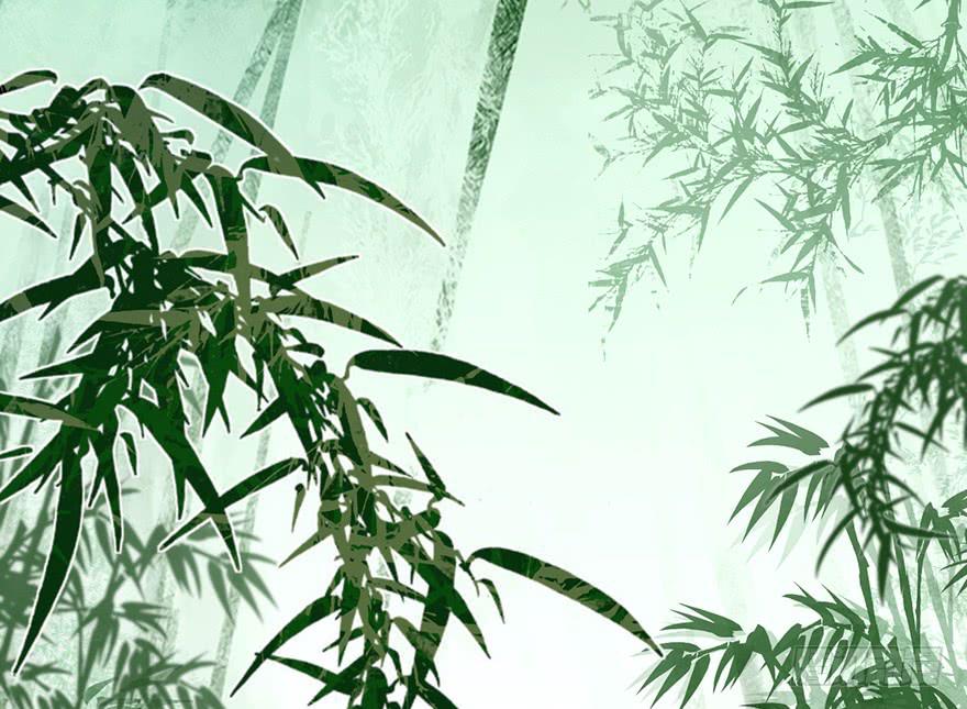 他的眼神，好凶！72