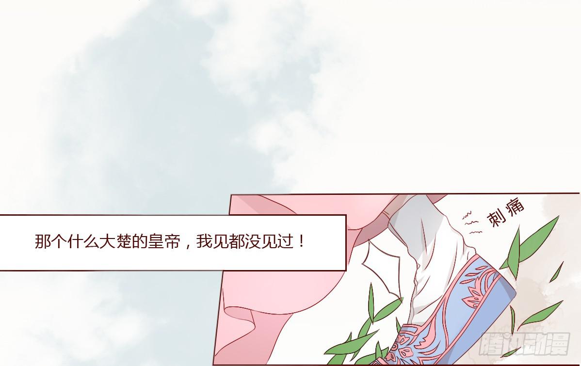 和亲公主竟然出逃？！47