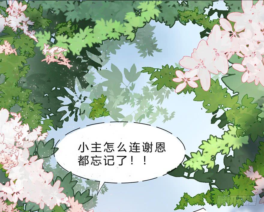 升为贵人82