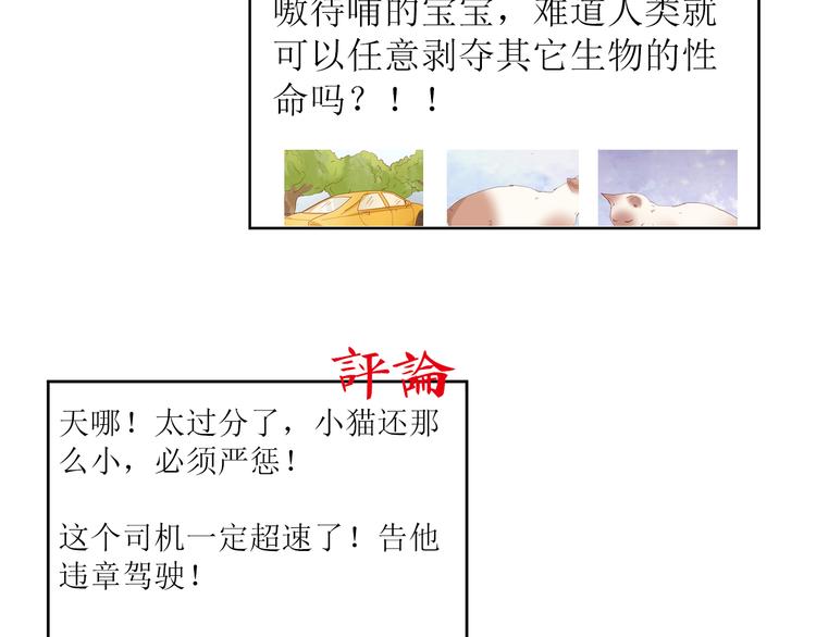 第11话 裁决？19