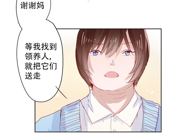 第11话 裁决？13