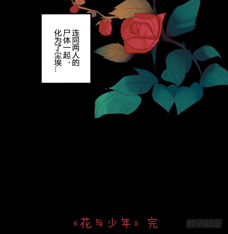 花儿与少年（4）38