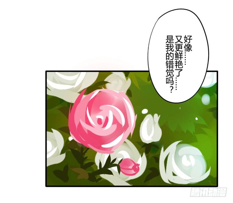 花儿与少年（2）2