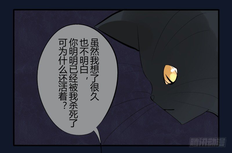 猫的报恩（7）6