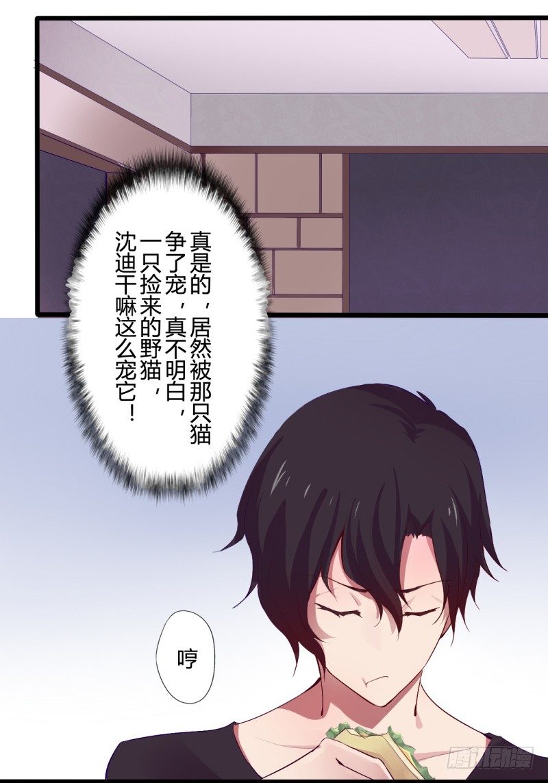猫的报恩（1）19