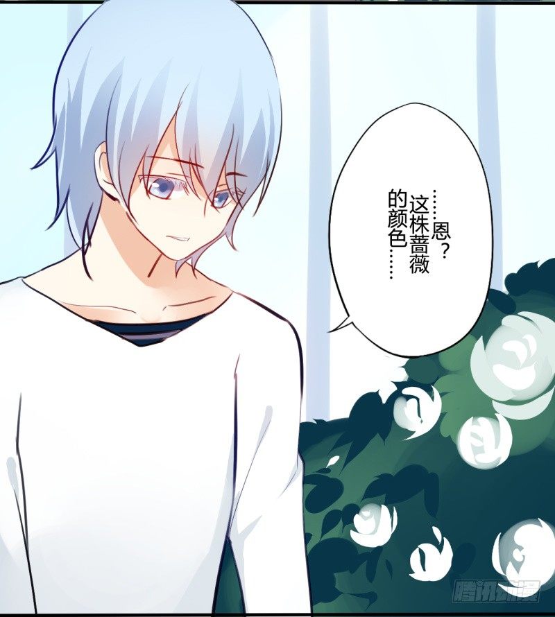 花儿与少年（1）8