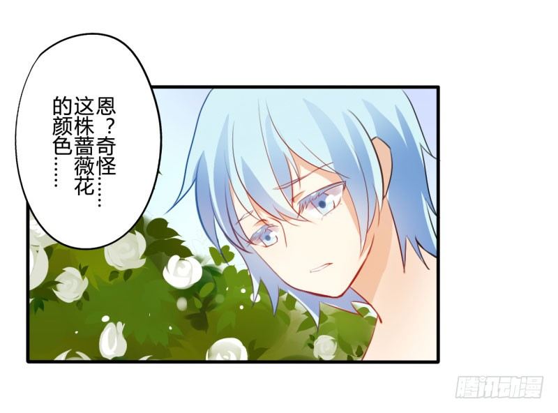 花儿与少年（2）1