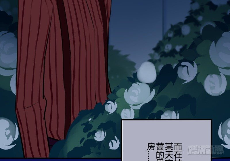 花儿与少年（1）15