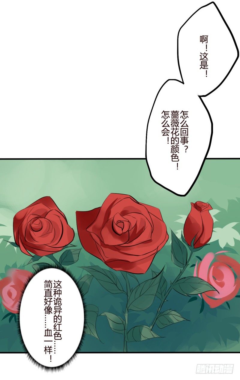 花儿与少年（3）7