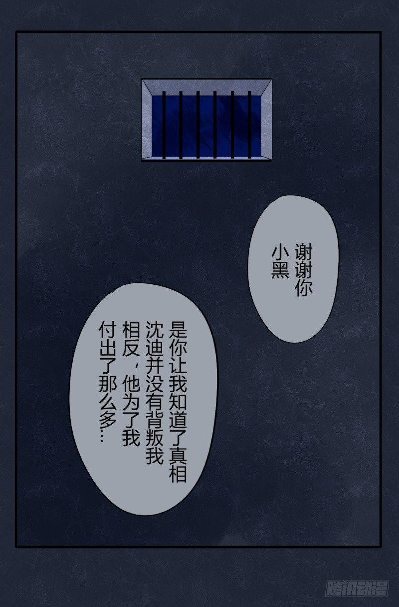 猫的报恩（7）22