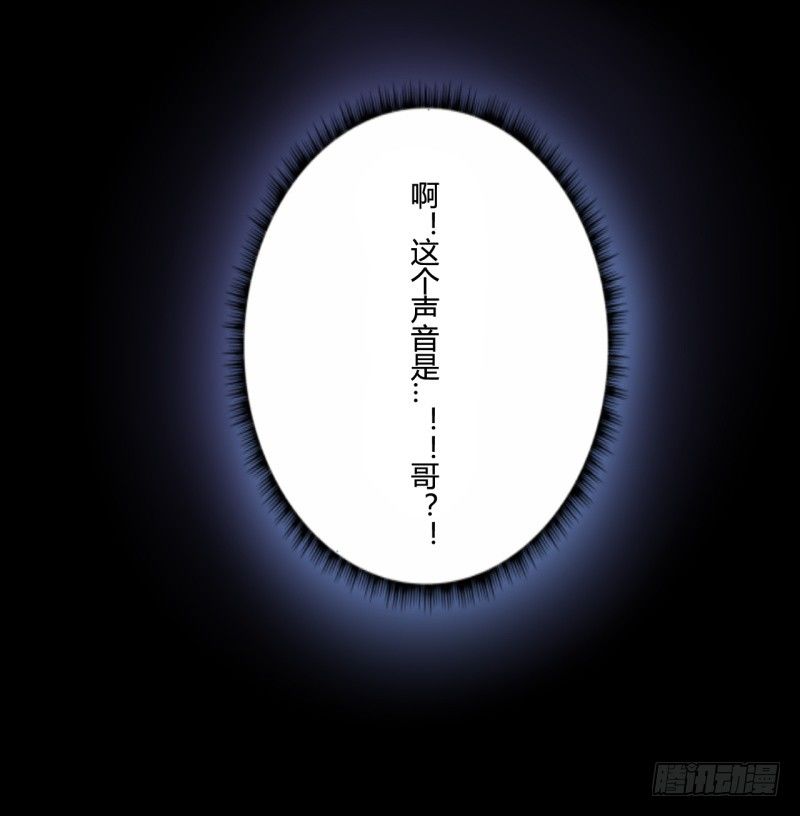 并蒂莲（1）48