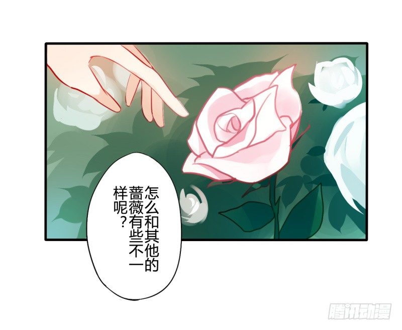 花儿与少年（1）9