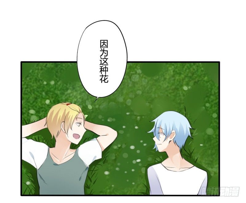 花儿与少年（2）10