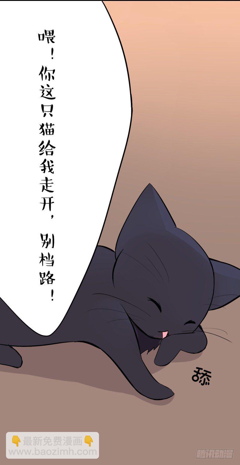 猫的报恩（3）15