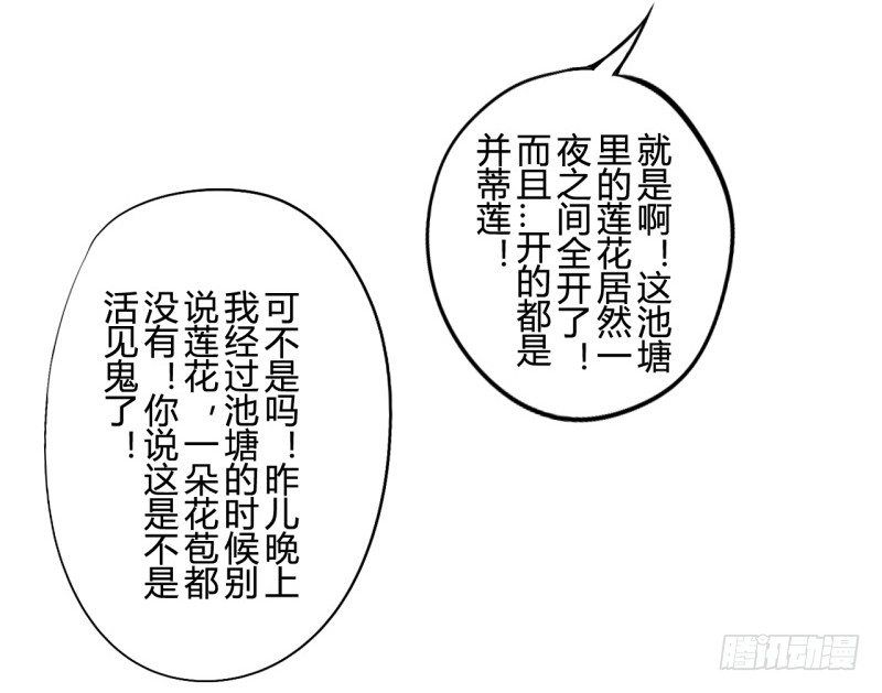 并蒂莲（2）7