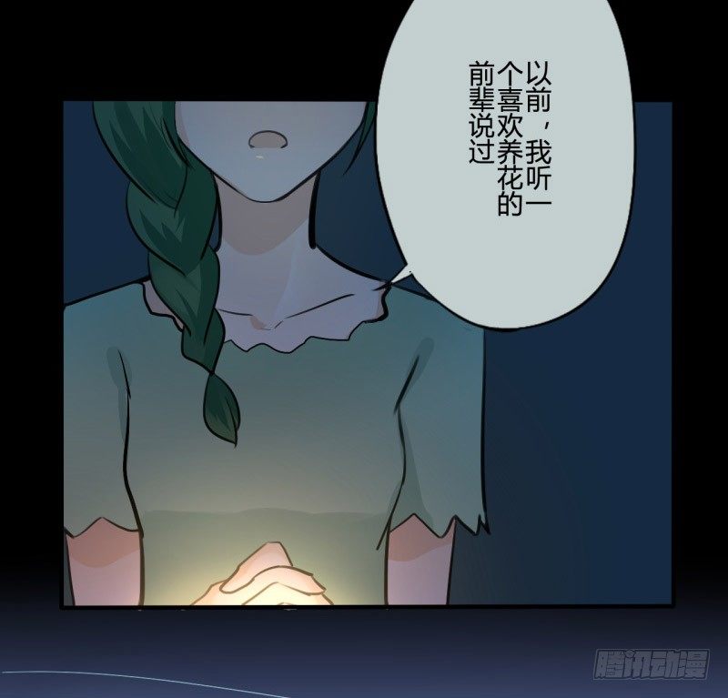 花儿与少年（1）4