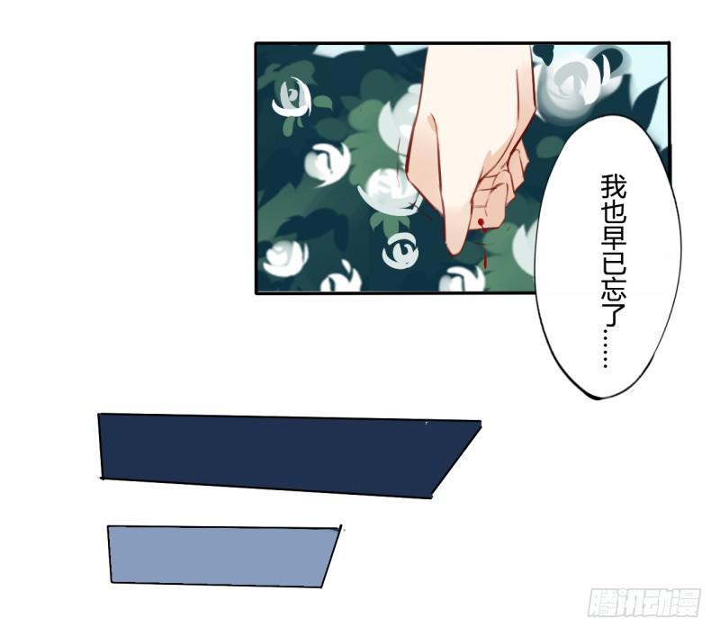花儿与少年（1）40