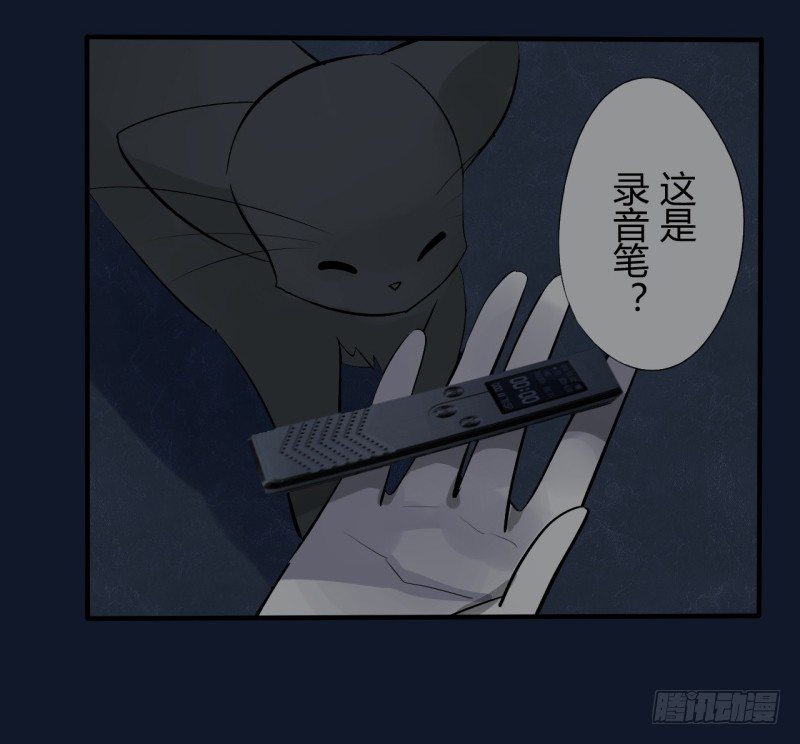 猫的报恩（7）10
