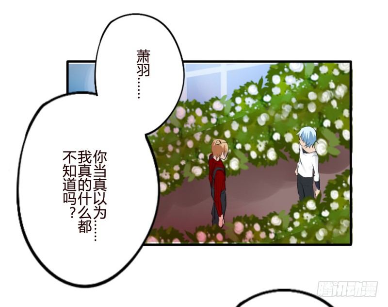 花儿与少年（3）13