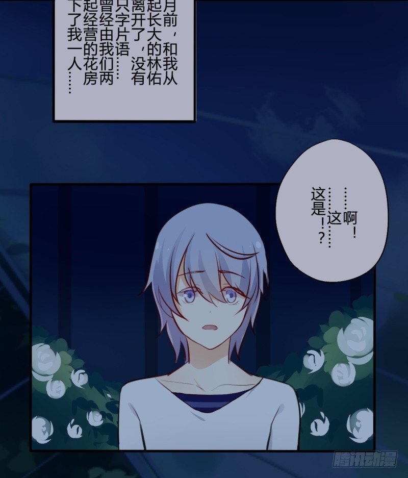 花儿与少年（1）13