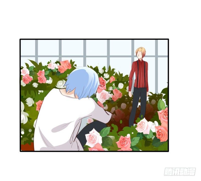 花儿与少年（3）40