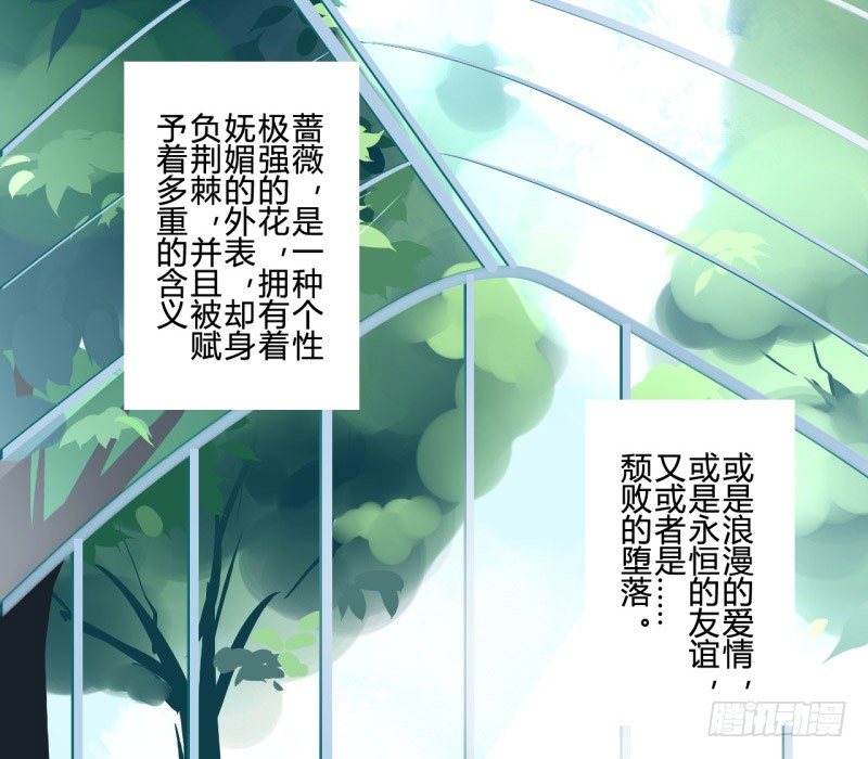 花儿与少年（1）6