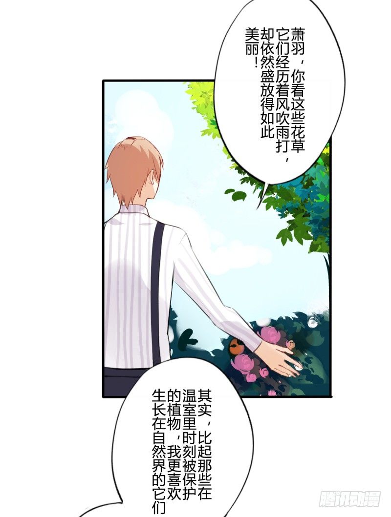 花儿与少年（1）27