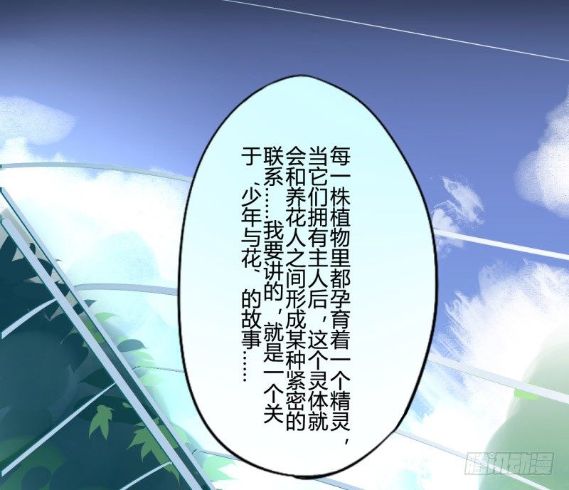花儿与少年（1）5