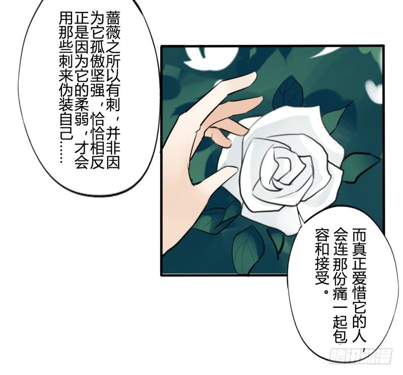 花儿与少年（1）21