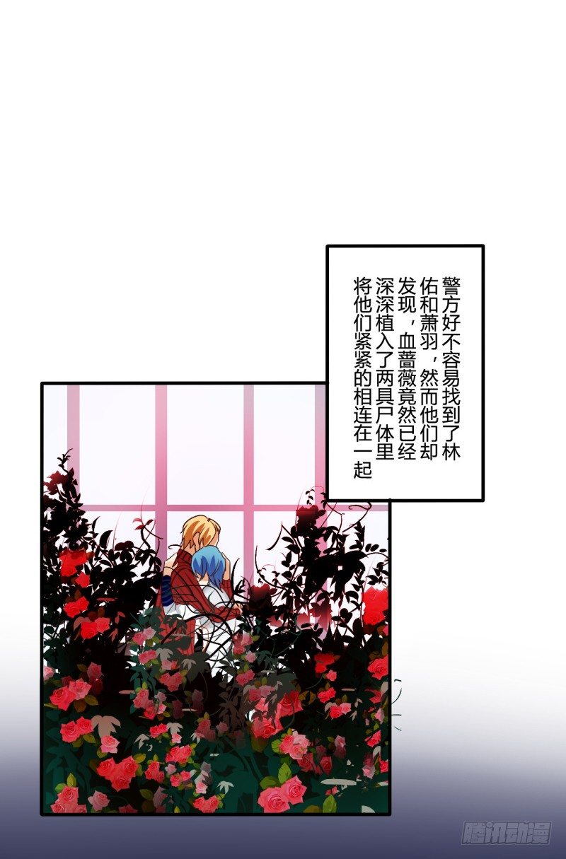 花儿与少年（4）36