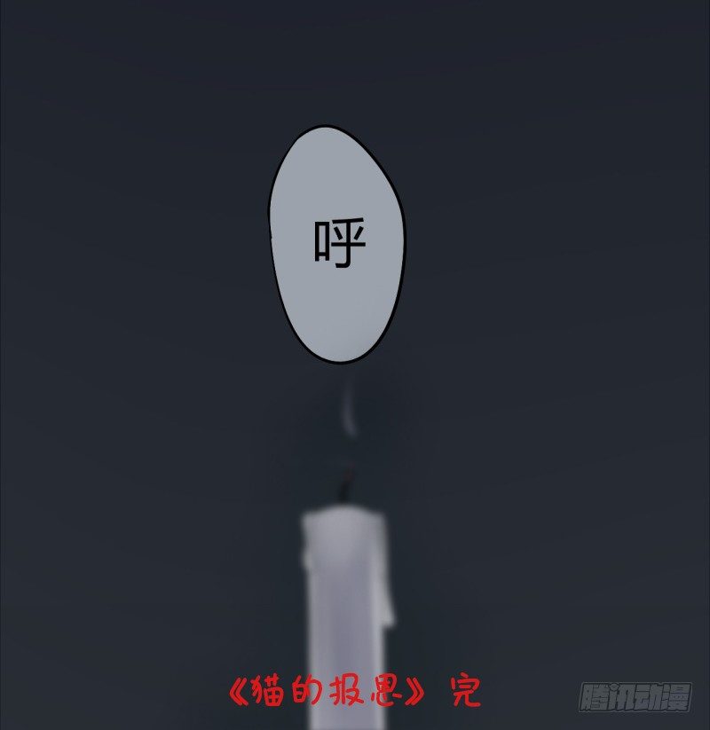 猫的报恩（7）30
