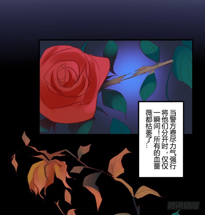 花儿与少年（4）37