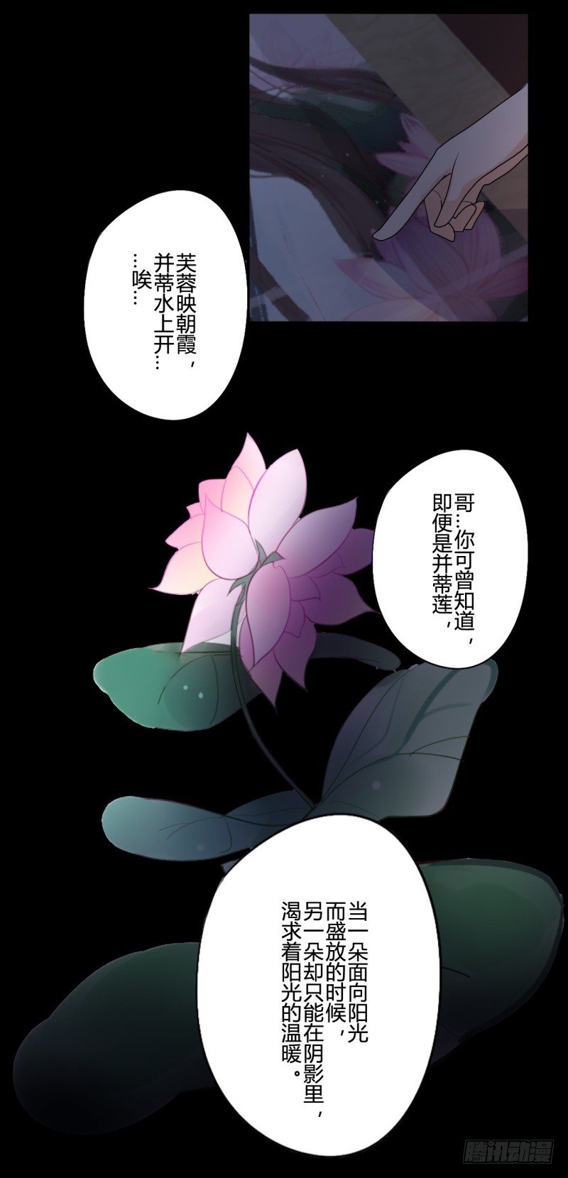 并蒂莲（1）22